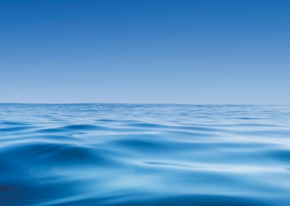 Pakari beach, New Zealand