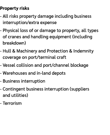 Property risks All risks property damage including business interruption/extra expense Physical loss of or damage to ...