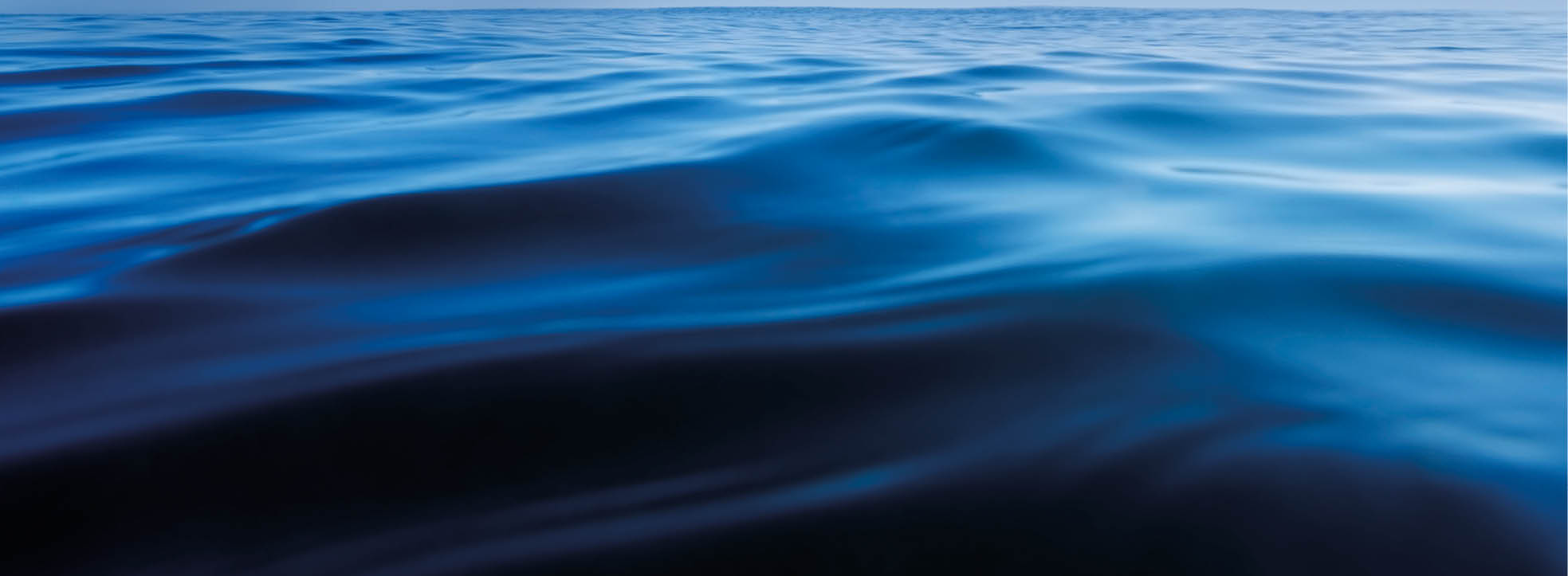 Pakari beach, New Zealand
