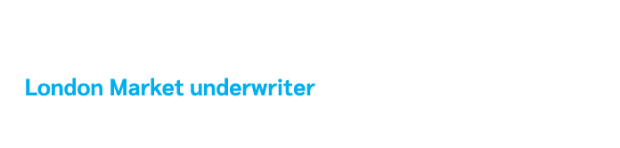 “ Never had such service.” London Market underwriter