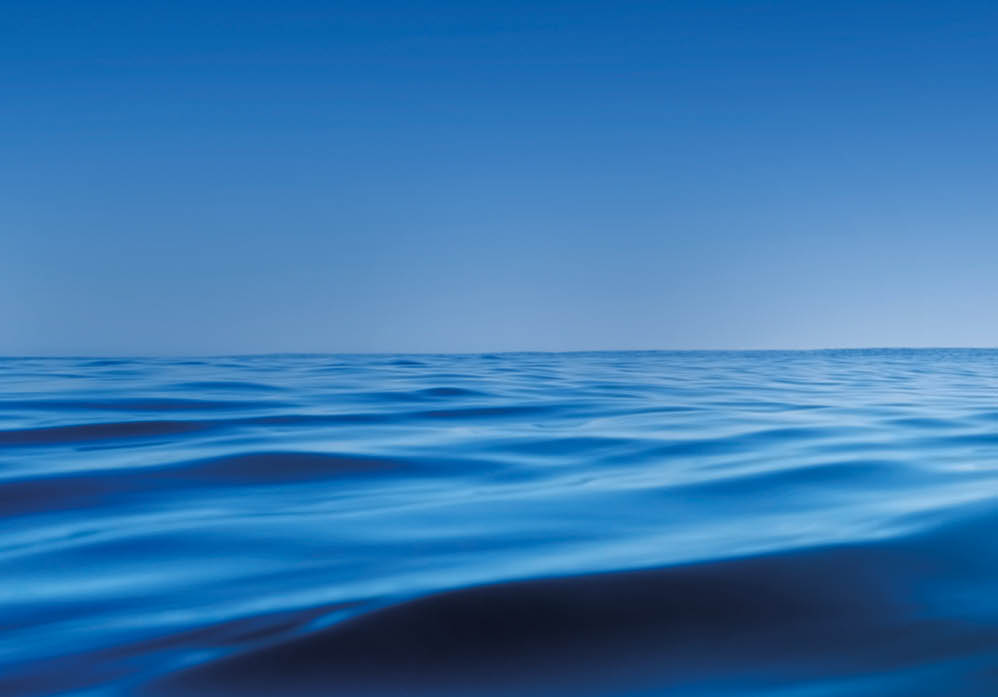 Pakari beach, New Zealand